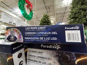 Costco-1193818-Paradise-LED-Color-Changing-18- Rope-Light4