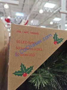 Costco-1900325-32-LED-Wreath-with-50-Dual-Color-Lights-name