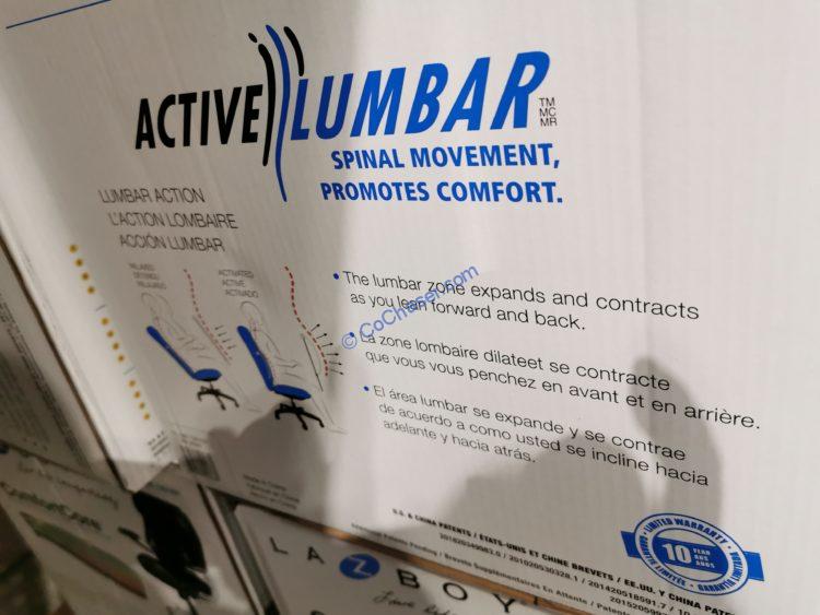 LaZBoy Active Lumbar Manager’s Chair CostcoChaser