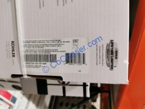 Costco-1325648-Kohler-Semiprofessional-Kitchen-Faucet-inf1