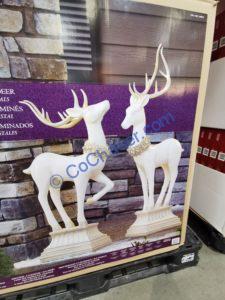Costco-1900271-LED-Lighted-Pedestal-Deer3