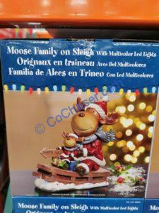 Costco-1900365-Moose-Family-on-Sleigh-with-LED-Lights-face