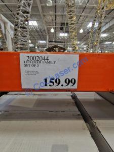 Costco-2002044-LED-Deer-Family-tag