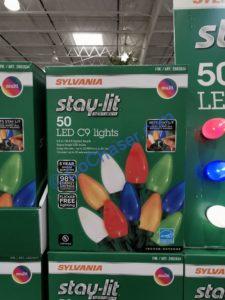 Cotco-2002034-Sylvania-50CT-Stay-Lit-Color-Bulbs1