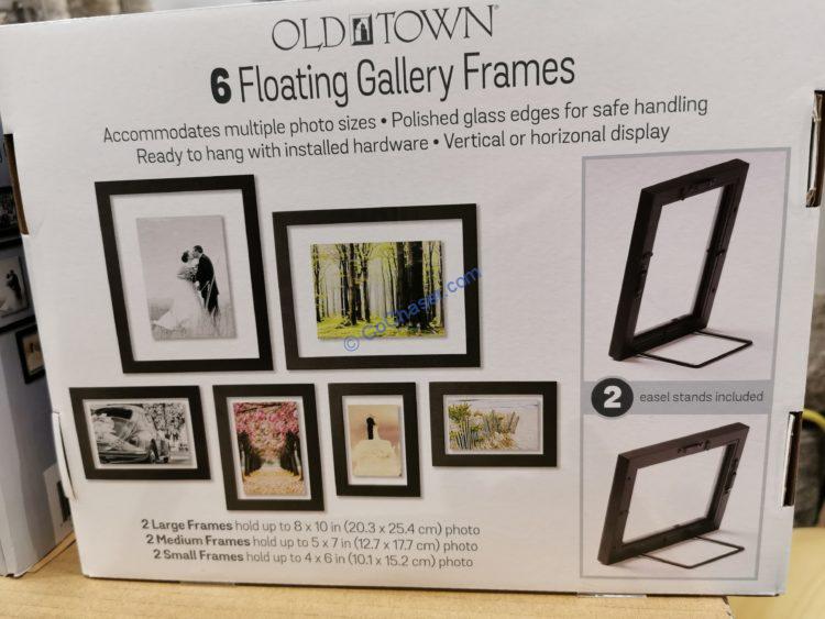 Old Town 6PC Floating Picture Frames CostcoChaser