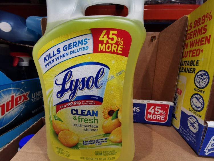 Costco1246015LysolAllPurposeCleaner1 CostcoChaser