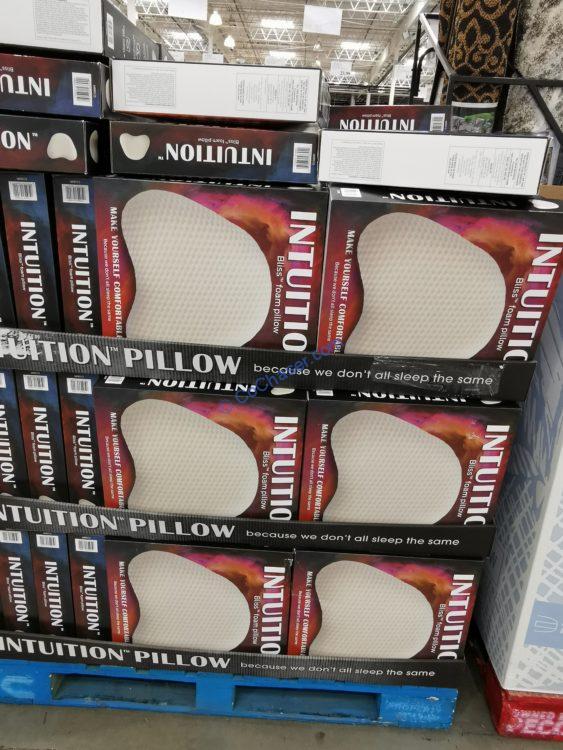 Costco1319888BlissIntuitio FoamPillowall CostcoChaser