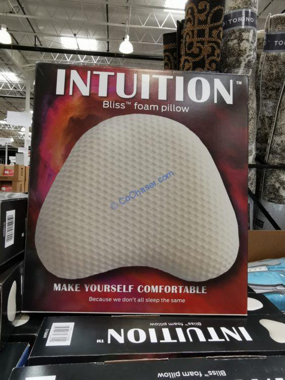 Bliss Intuition Foam Pillow