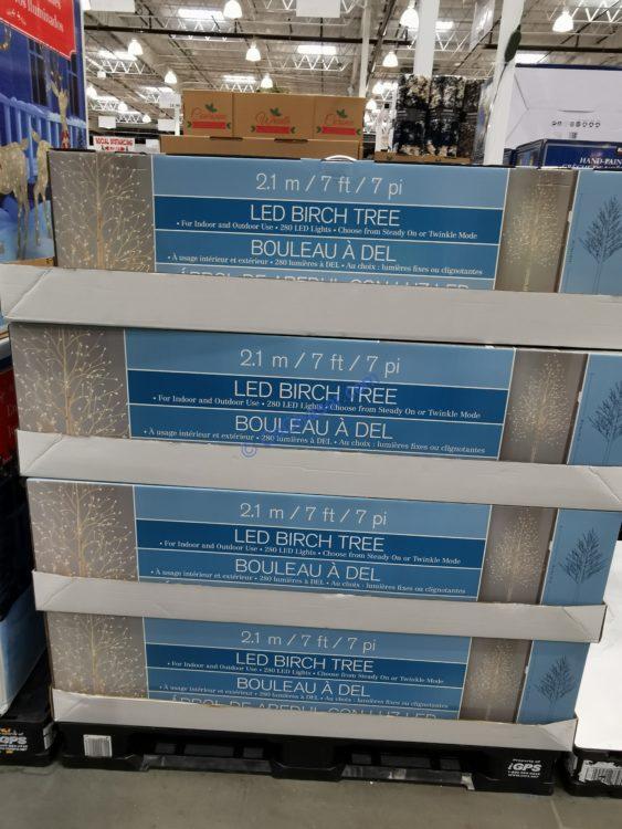 Costco20060927FauxBirchTreeall CostcoChaser