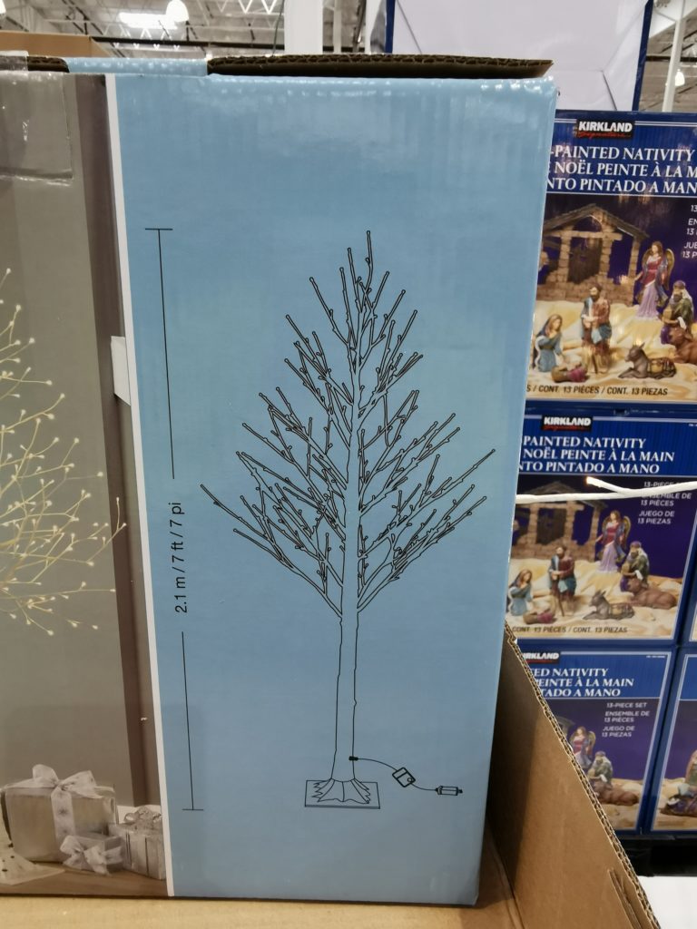 Costco20060927FauxBirchTreesize CostcoChaser