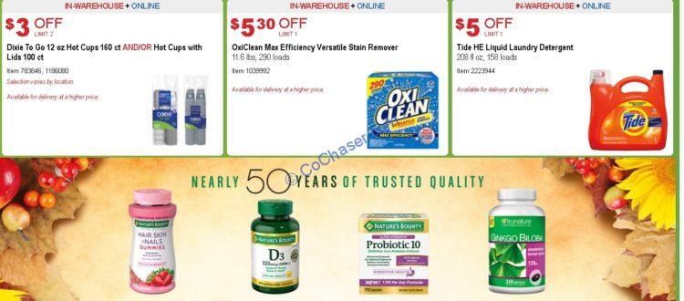 Costco-Coupon_11_2020_14