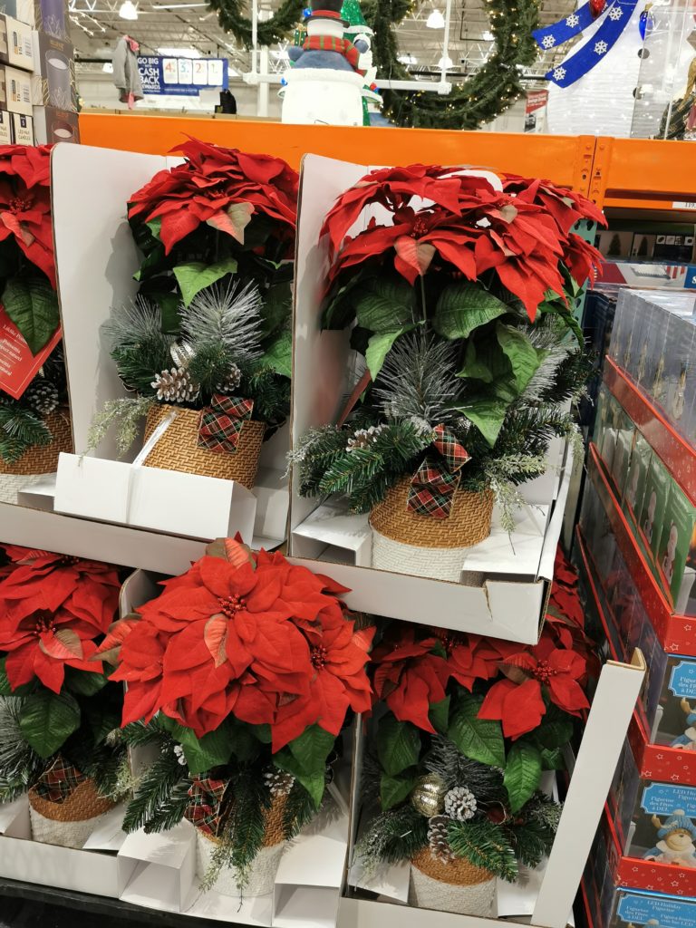 Costco200507224PoinsettiaCenterpieceall CostcoChaser