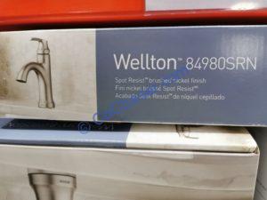 Costco-1600265-Moen-Wellton-Brushed-Nickel-Bathroom-Faucet2