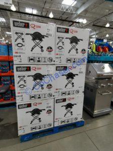 Costco-1486621-Weber-Q2200-Outdoor-Gas-Grill-all