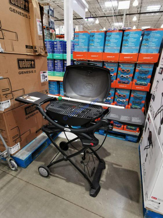 Weber Q2200 Outdoor Gas Grill with Cart & Adapter Hose