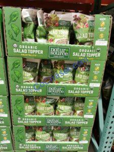 Costco-1133164-NaturSource-Organic-Salad-Toppers-all