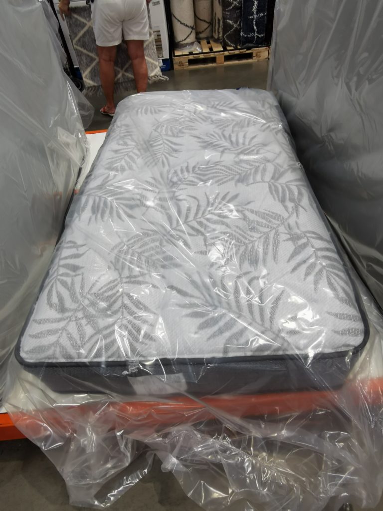 Sealy Keyes Twin Mattress only CostcoChaser