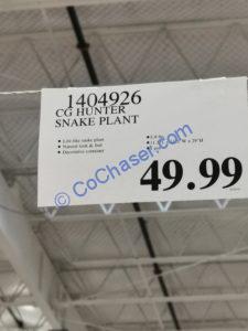 Costco-1404926-CG Hunter-Snake-Plant-tag
