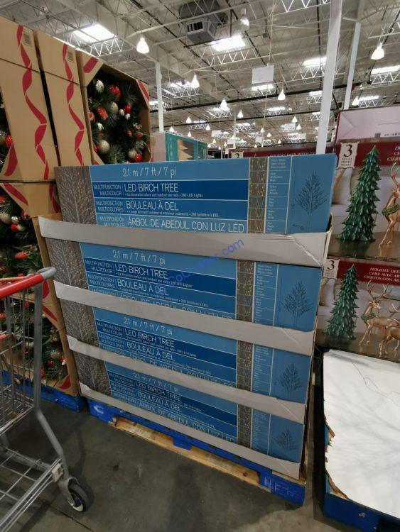 Costco20061727BirchTreeLEDLightsall CostcoChaser