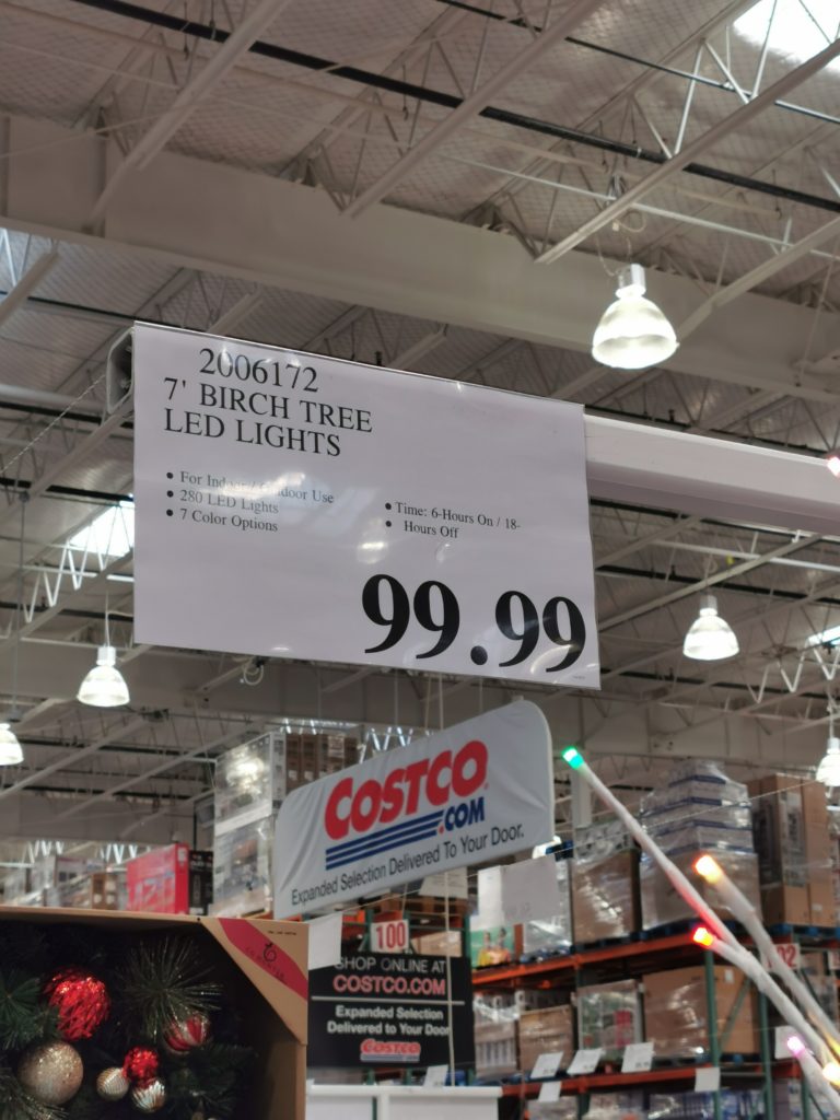 Costco20061727BirchTreeLEDLightstag CostcoChaser