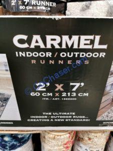 Costco-1559300-Carmel-Indoor-Outdoor-Runner