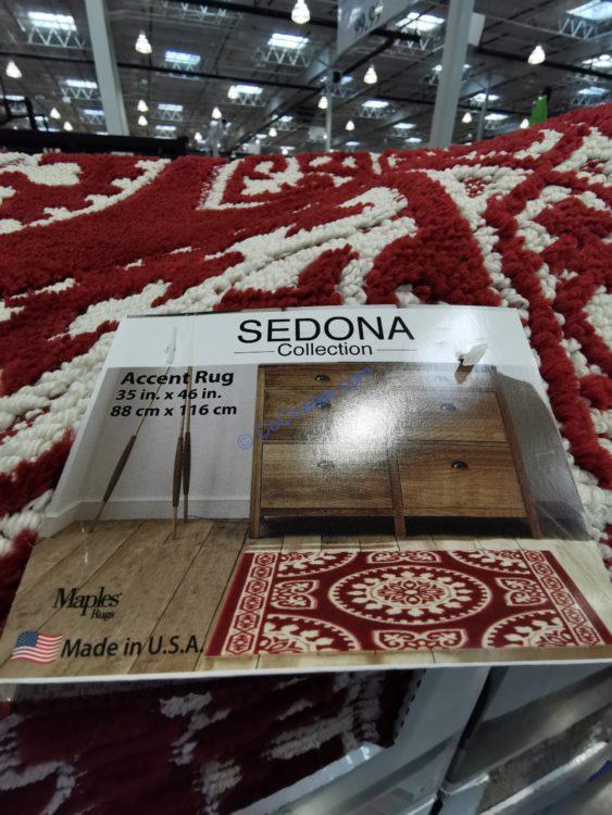 Sedona Accent Rug 35” x 46” CostcoChaser