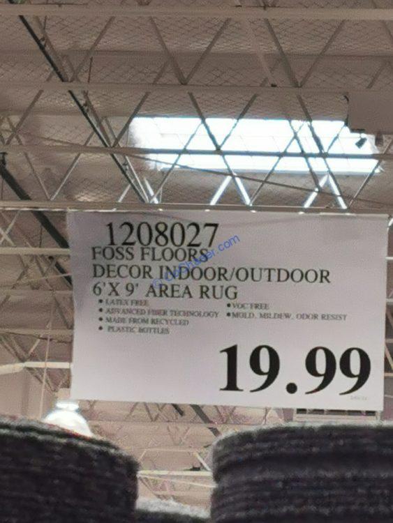 FOSS Floors Décor Indoor/Outdoor Area Rug 6’ X 9’ CostcoChaser