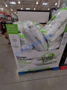 Costco-1393893-Planet-Pillow-all