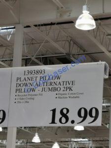 Costco-1393893-Planet-Pillow-tag