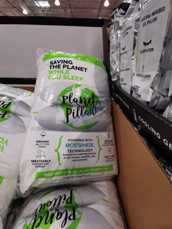 Costco-1393893-Planet-Pillow1