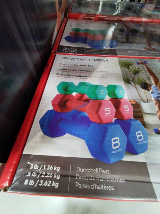 Costco1551180ProForm32LBSNeopreneDumbbellSet2 CostcoChaser