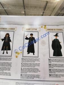 Costco-1536315-Harry-Potter-Collector-Figures-5PC-Set11