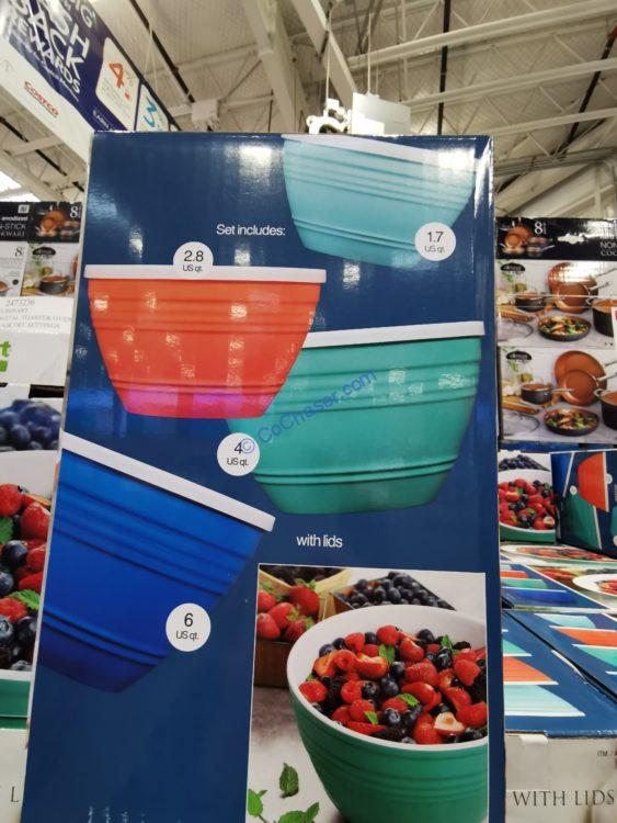 Costco1580067PandexMelamine4pieceMixingBowlSetwithLids2