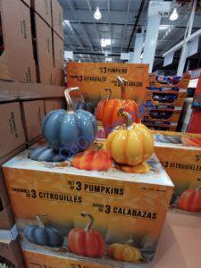 Costco-1601245-Fall-Harvest-Pumpkins