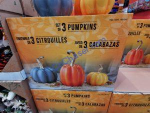 Costco-1601245-Fall-Harvest-Pumpkins1