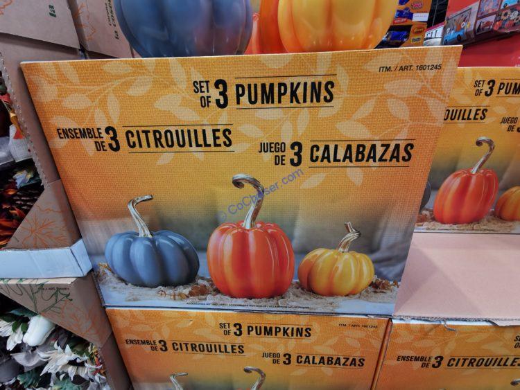 Fall Harvest Pumpkins, Set of 3 CostcoChaser