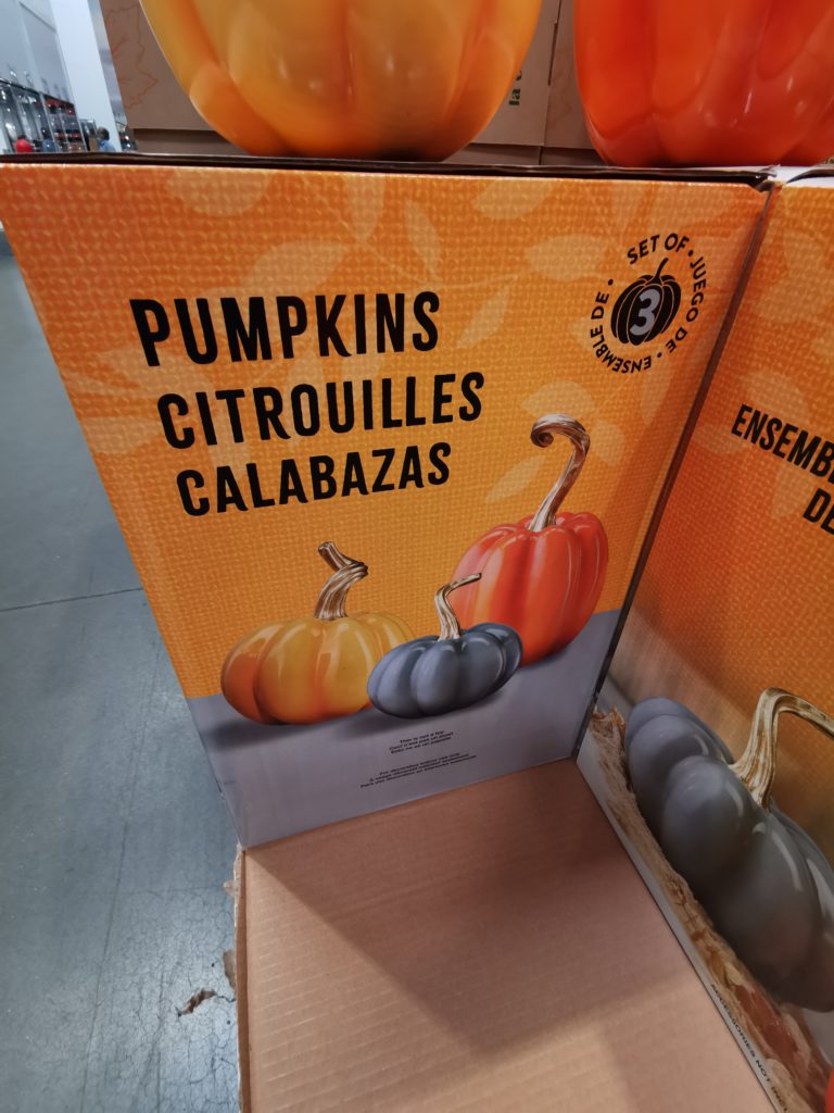 Costco1601245FallHarvestPumpkins2 CostcoChaser