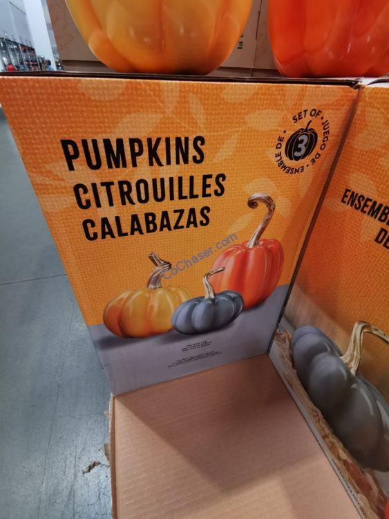 Costco1601245FallHarvestPumpkins2 CostcoChaser