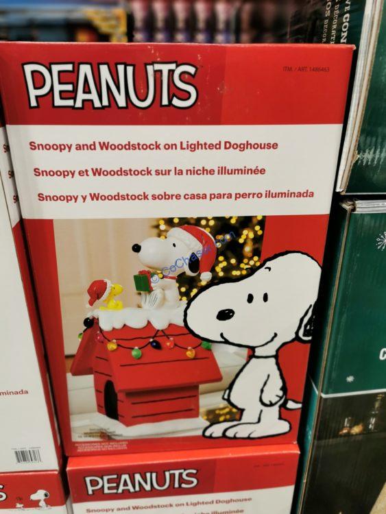 Peanuts Snoopy Holiday DogHouse