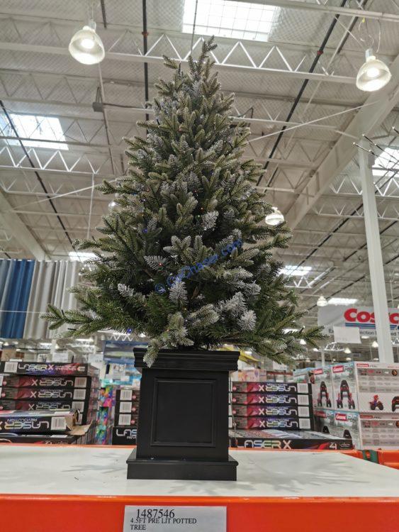 Costco-1487546-4.5-Pre-Lit-Potted-Tree