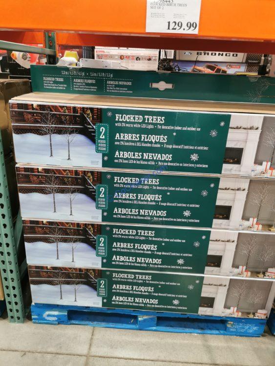 Costco1598443FlockedBirchTreesSetall CostcoChaser