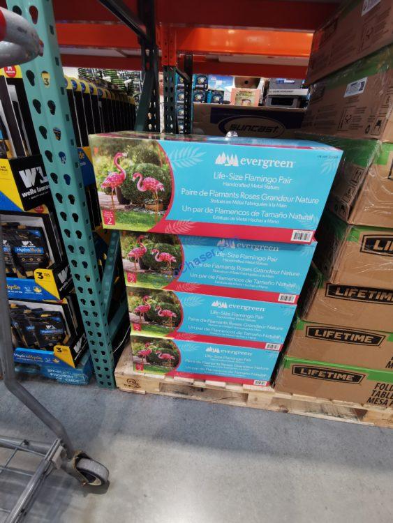Costco-2127656-Evergreen-Metal-Pink-Flamingo-Statue-Pair-all – CostcoChaser