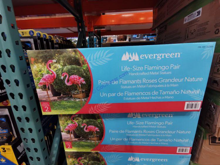 Costco2127656EvergreenMetalPinkFlamingoStatuePair1 CostcoChaser