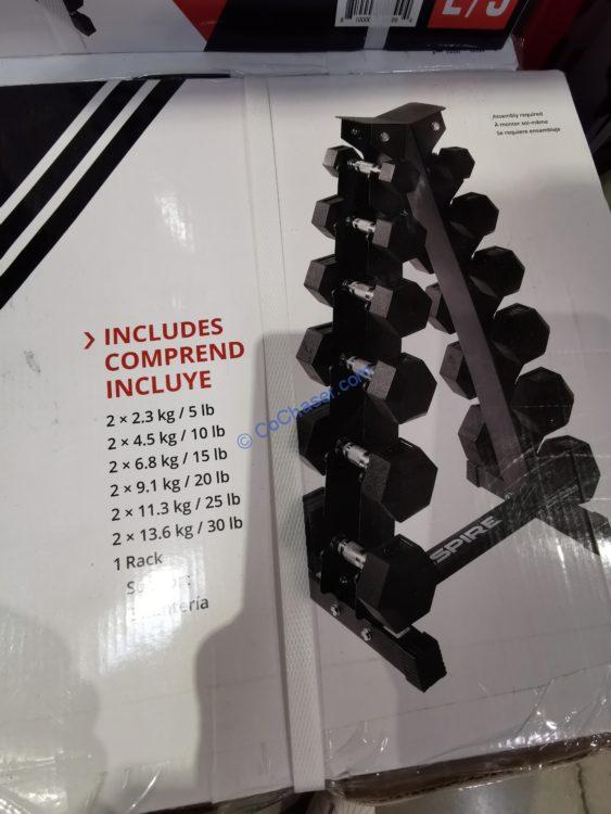 Costco2621062InspireFitnessRubberHEX210LBDumbbellSet4