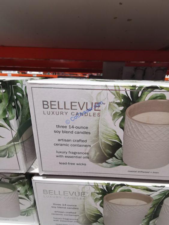 Costco1675792BellevueRITZCeramicCandles1 CostcoChaser