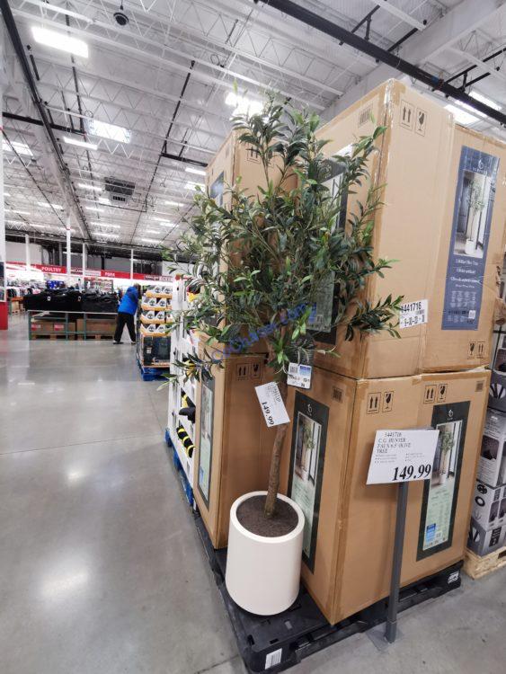 Costco-1441716-CG-Hunter-Faux-6.5-Olive-Tree