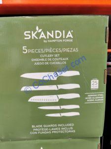 Costco-1630860-Skandia-5-piece-Stainless-Steel-Cutlery-Set