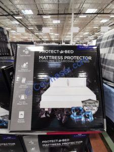 Costco-1731866-1731865-Keeco-Hollander-Protect-a-Bed-Cooling
