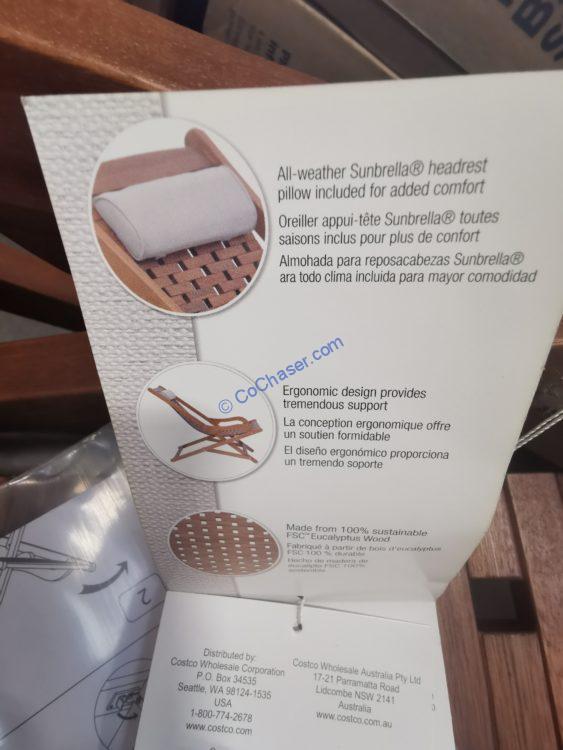 Costco1713374EucalyptusWoodSwingLoungerChair5 CostcoChaser