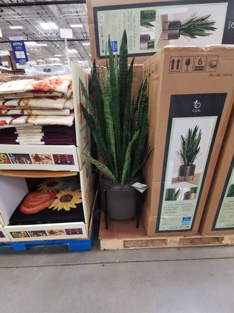 C. G. Hunter 53” Faux Snake Plant with Stand CostcoChaser
